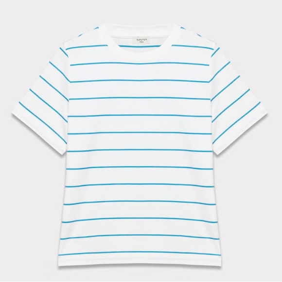 Aritzia Cotton Jersey Tee