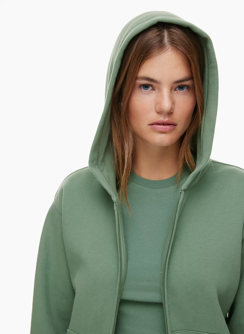 Aritzia TNA Cozy Zip Hoodie